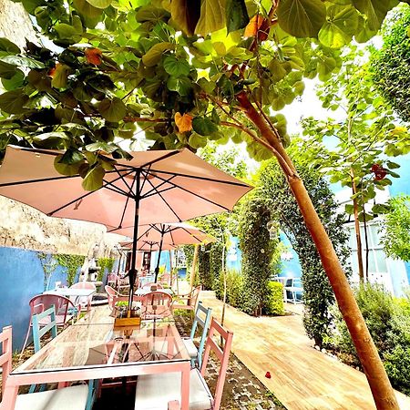 Xoxula By Inmense Hotel Cholula Exterior foto
